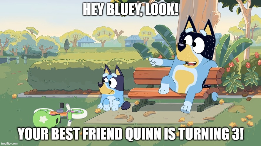 Bluey Meme